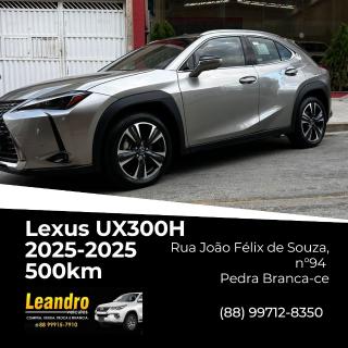 Foto do veículo Lexus Ux 2.0 300h Hev Cvt