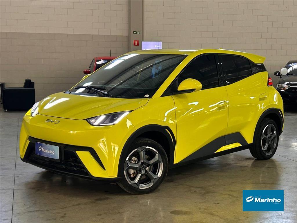 Byd Dolphin