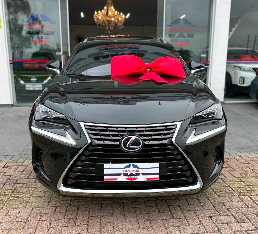 Lexus Others 2019