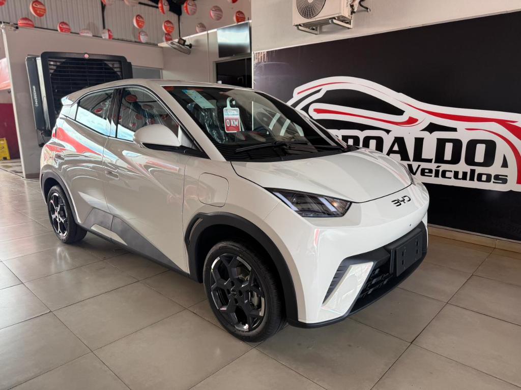 BYD Dolphin 2027