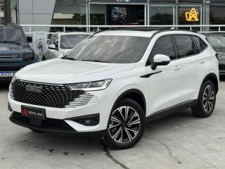 Foto do veículo Gwm Haval H6 1.5t Phev 19 Premium Dht