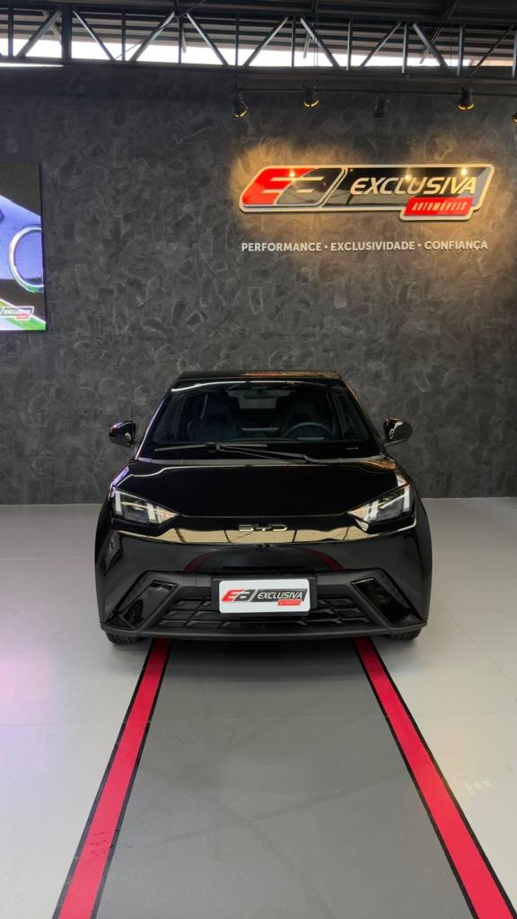 Byd Dolphin