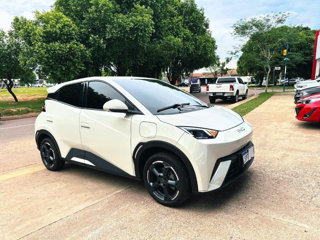 BYD Dolphin Mini Bev 38kwh Gs Auto 2025