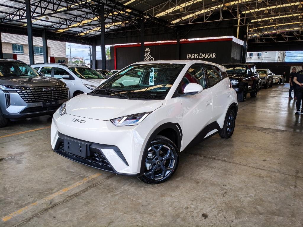 Byd Dolphin