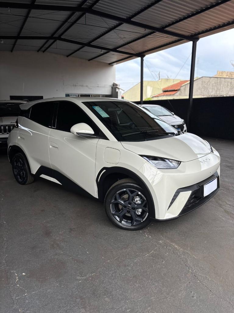 BYD Dolphin 2026
