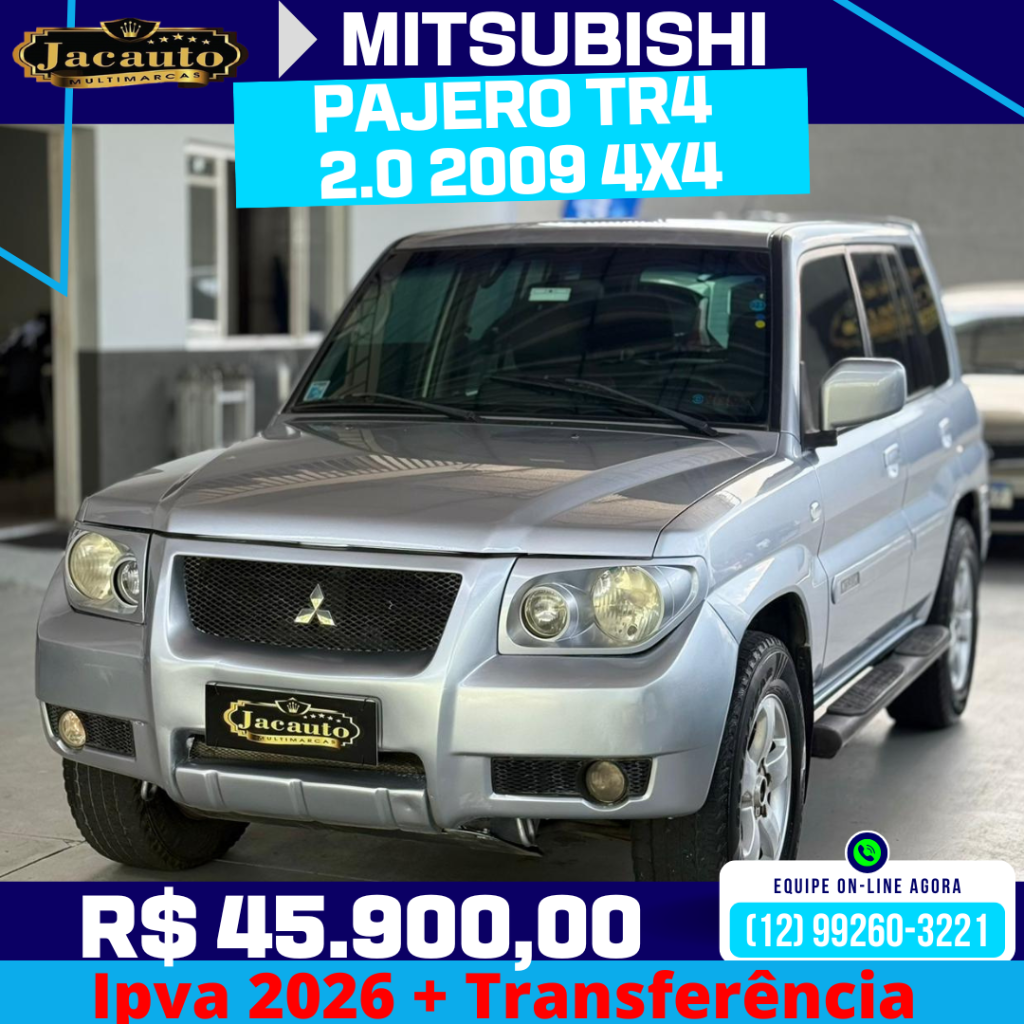 Mitsubishi Pajero OTHERS 2009