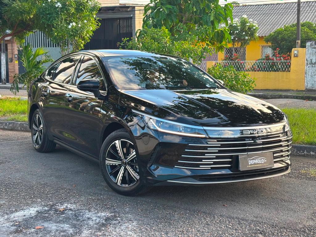 BYD King 2025