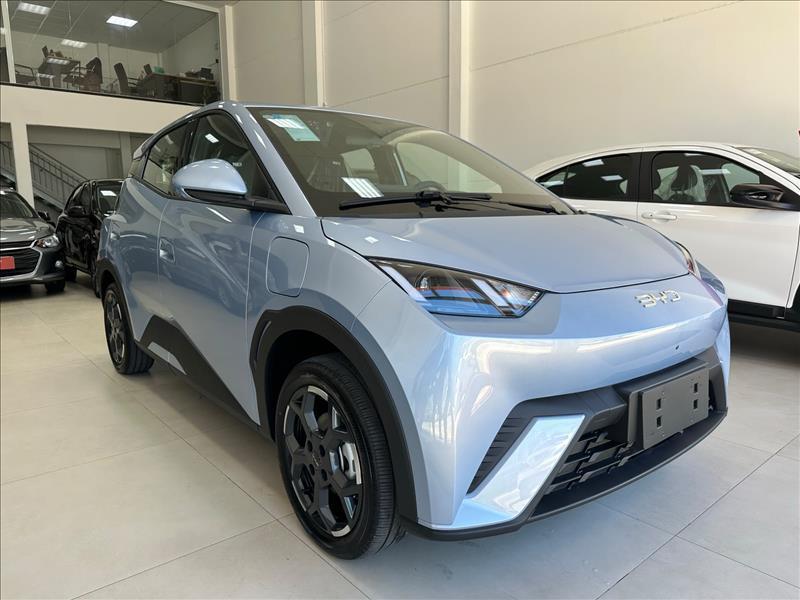 Byd Dolphin