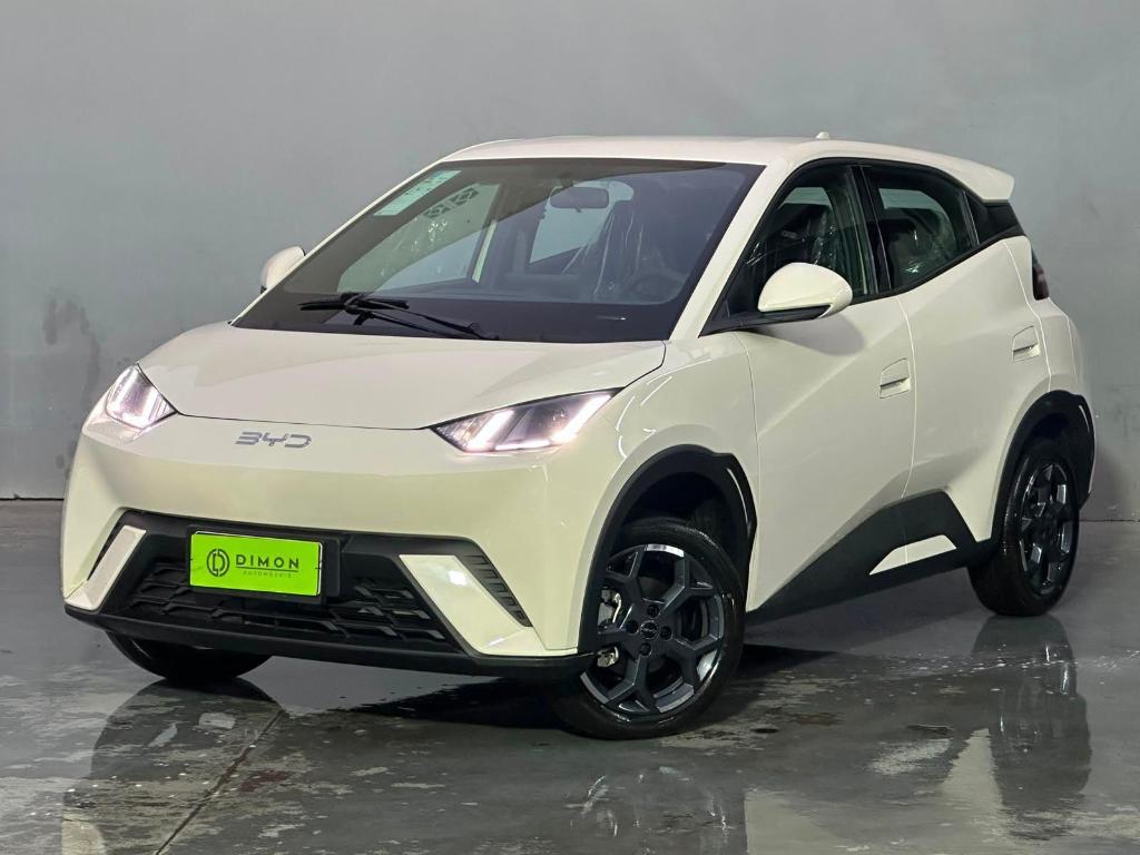 Byd Dolphin