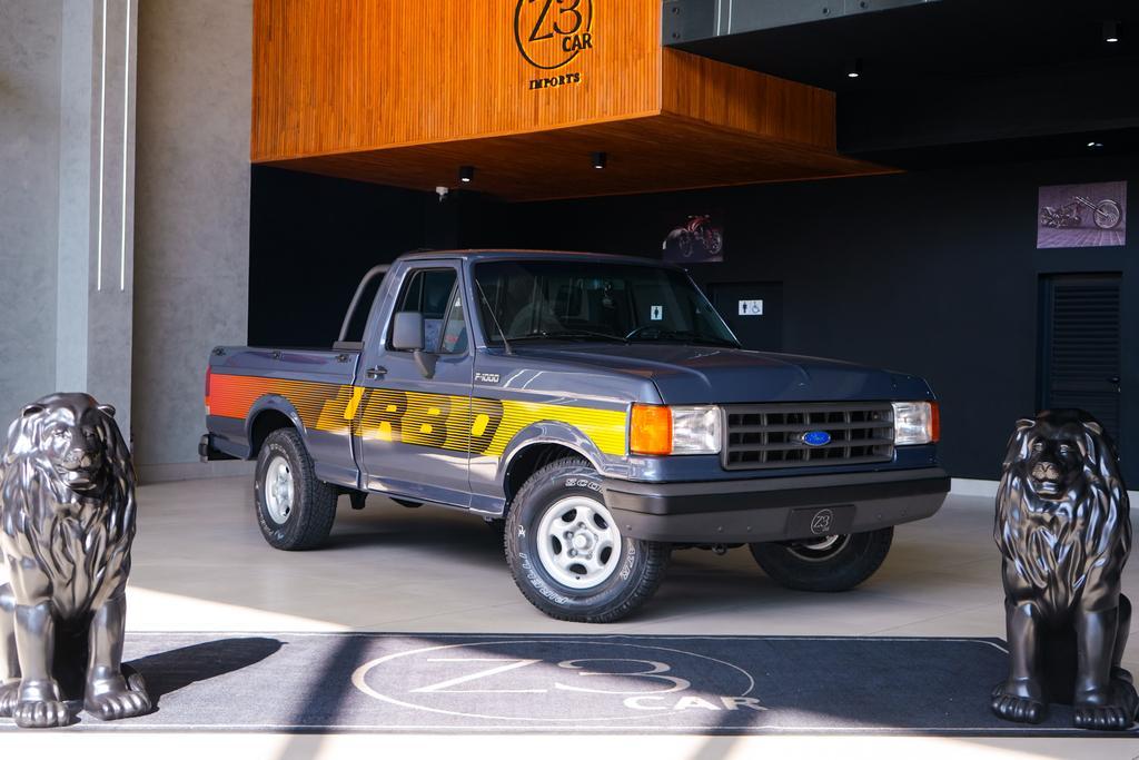 Ford F-1000 F-1000 Super Diesel / Super Diesel Turbo 1993