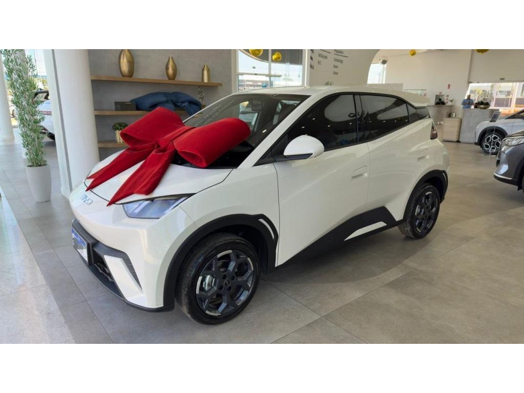 BYD Dolphin 2027