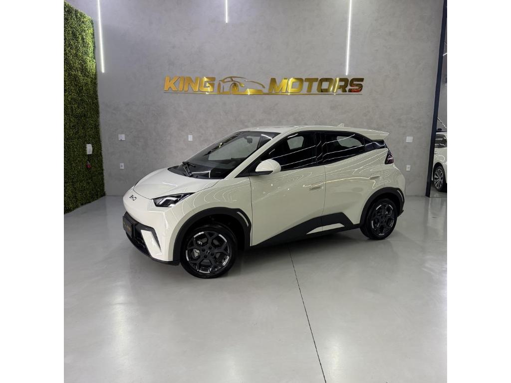 Byd Dolphin