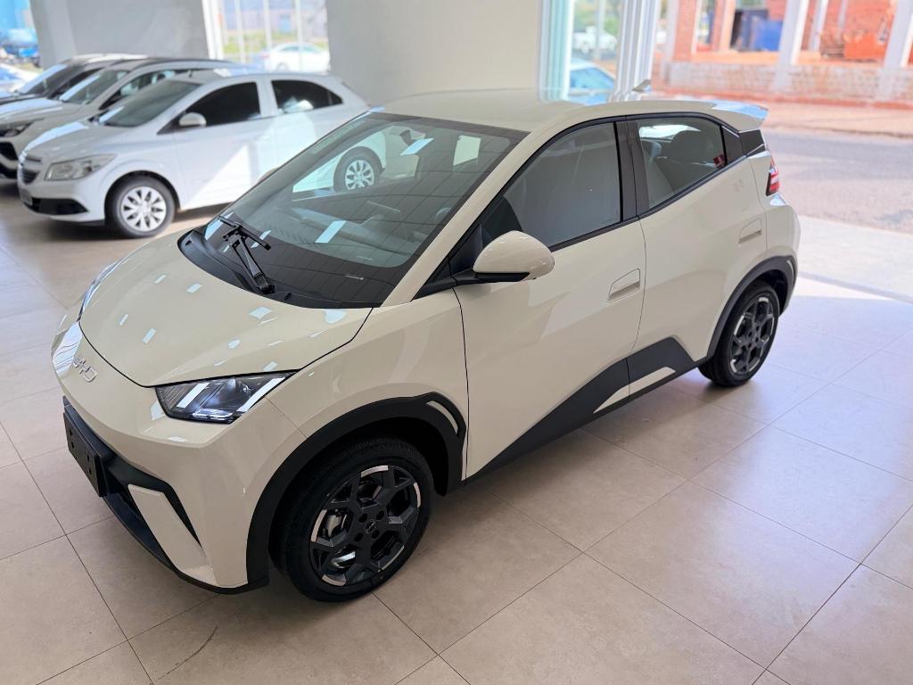 Byd Dolphin