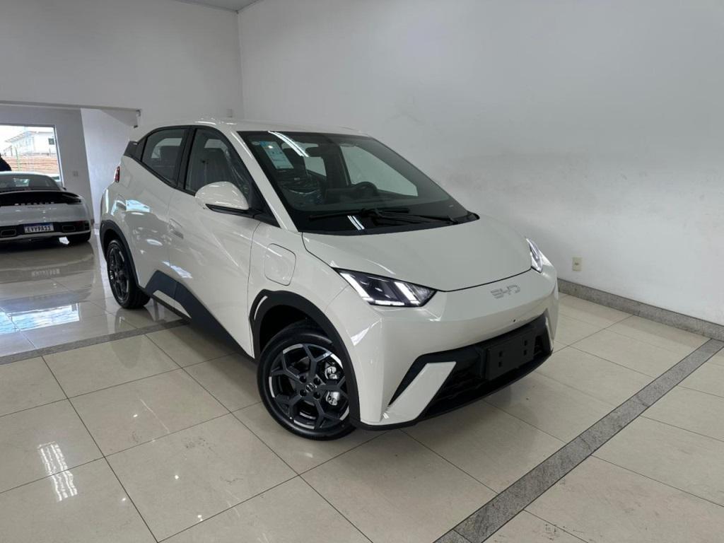 BYD Dolphin 2027