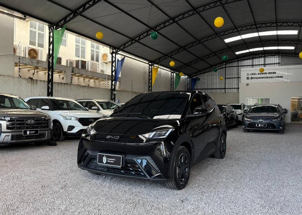 Byd Dolphin