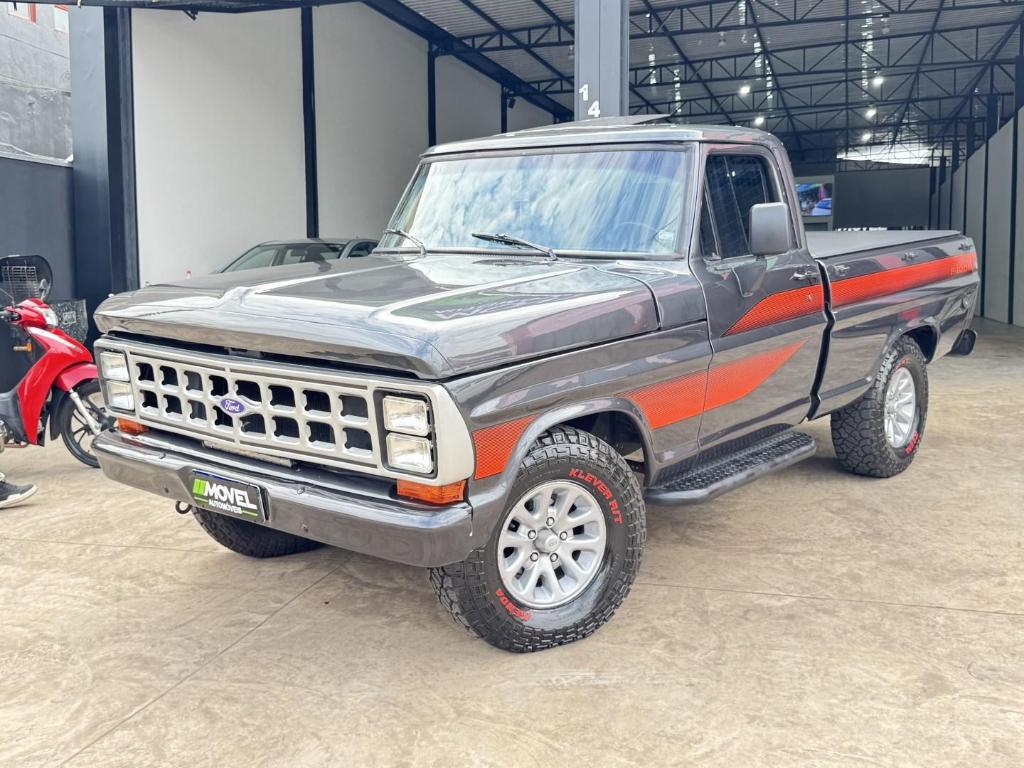 Ford F-1000 Ss 1990