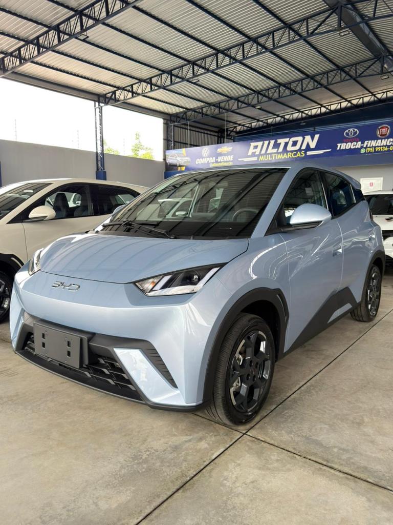 Byd Dolphin