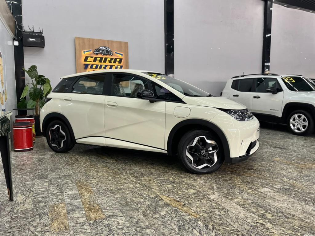 Byd Dolphin