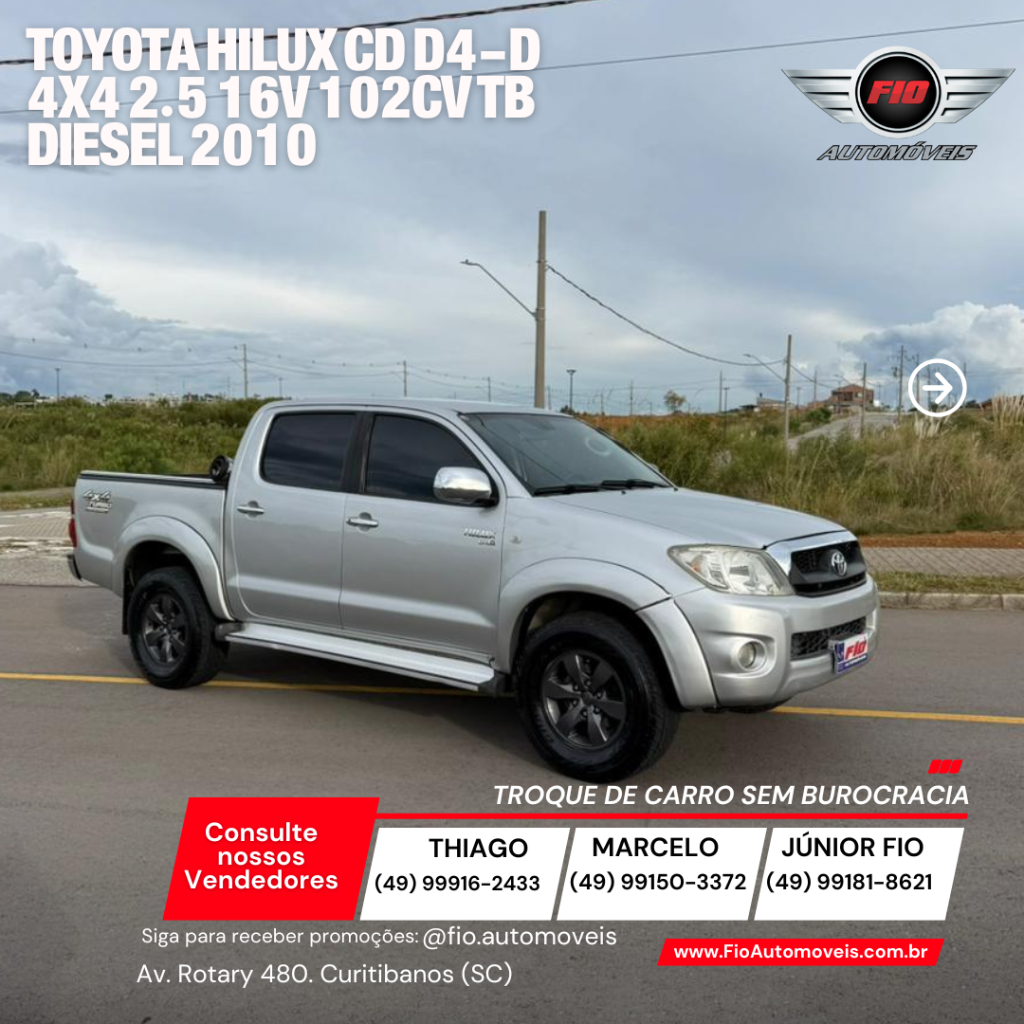 Toyota Hilux OTHERS 2010