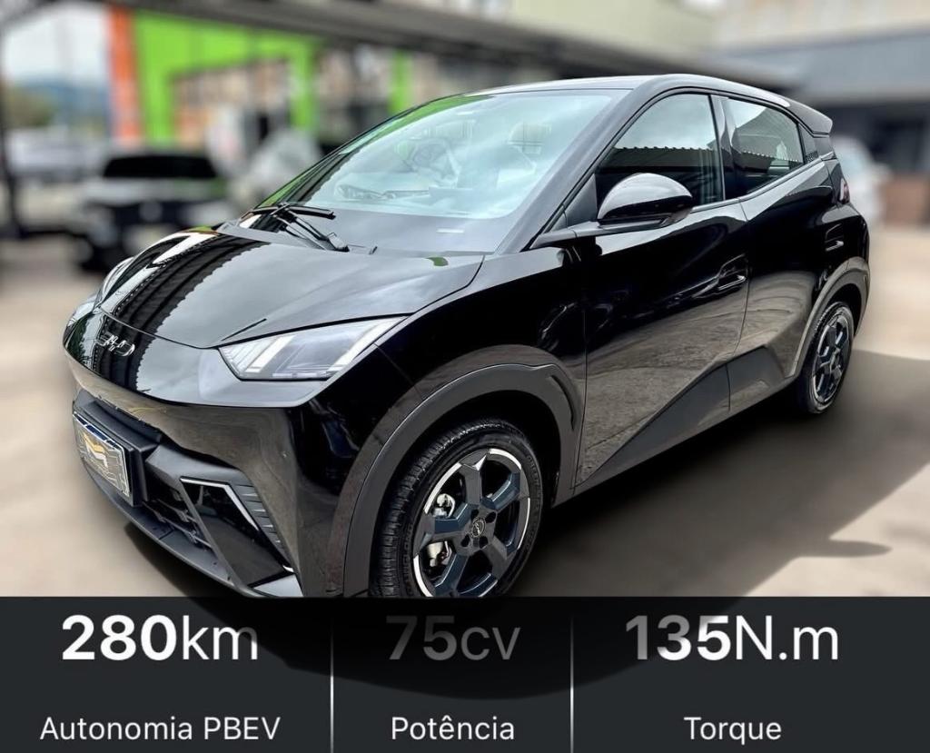 Byd Dolphin Mini Bev 38kwh Gs 5l Auto - Automática