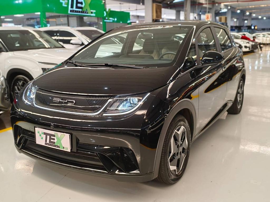 BYD Dolphin 2024