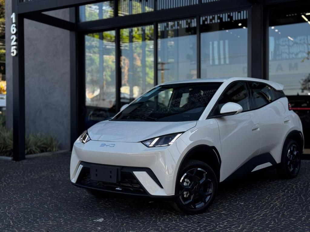BYD Dolphin 2027