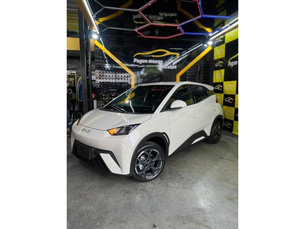 BYD Dolphin 2027