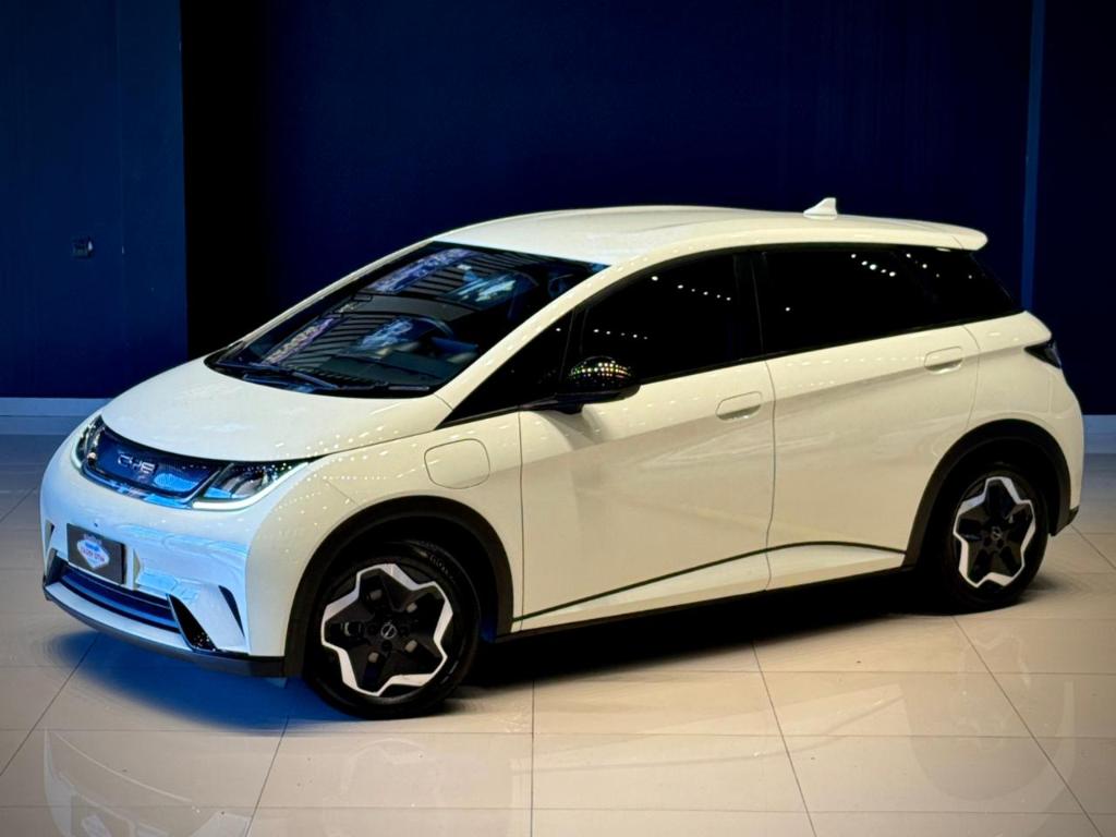 BYD Dolphin 2024