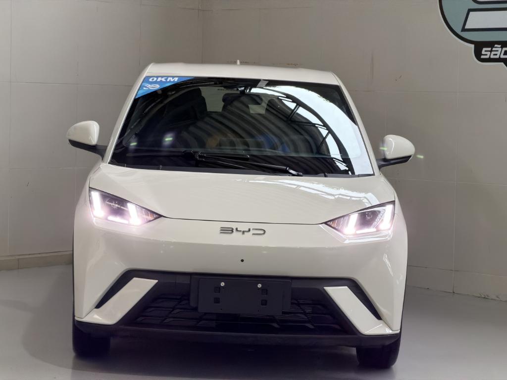 BYD Dolphin 2027