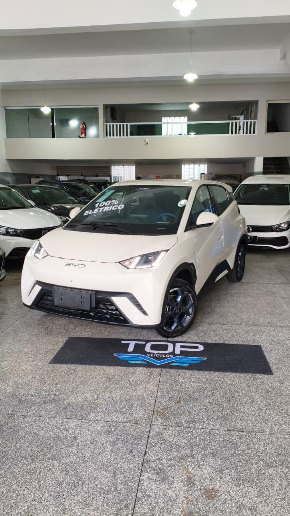 Byd Dolphin