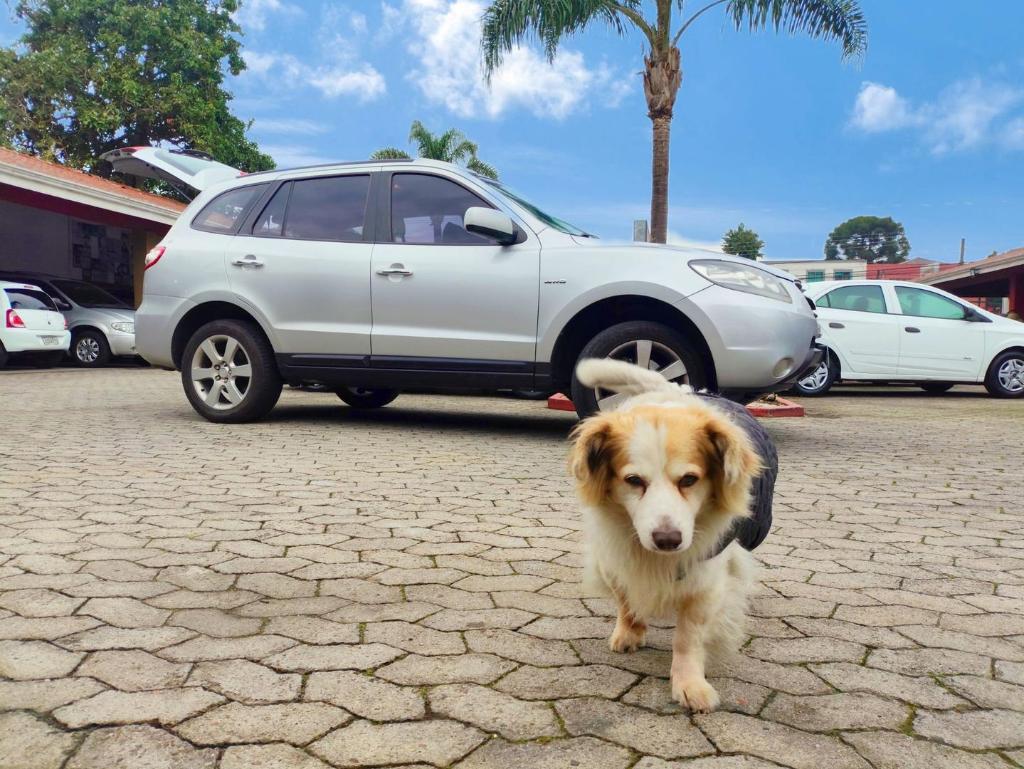 Hyundai Santa Fe 2.7 V6 Auto 5l 2008