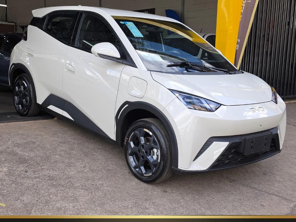Byd Dolphin