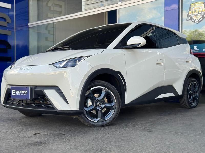 BYD Dolphin Bev 45kwh Gs Auto 2027