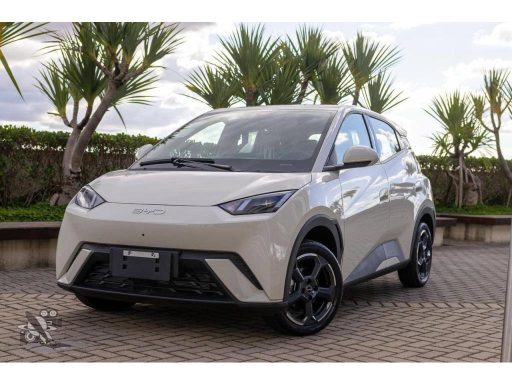 Byd Dolphin