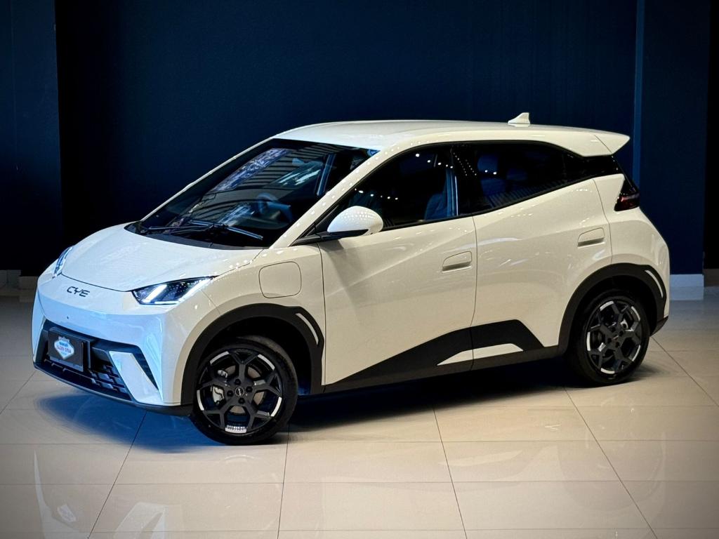 BYD Dolphin 2027