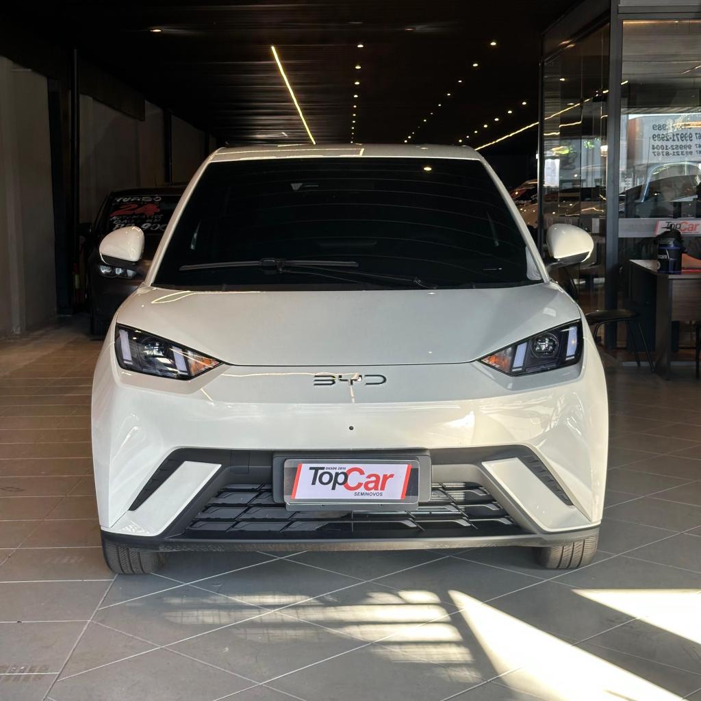 BYD Dolphin 2027