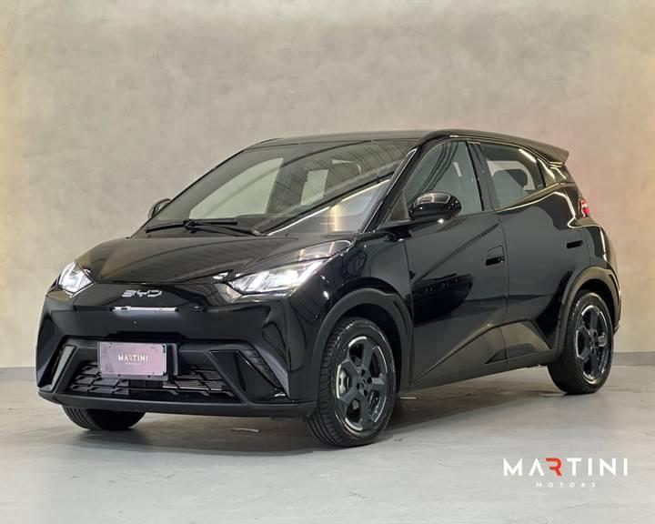 Byd Dolphin