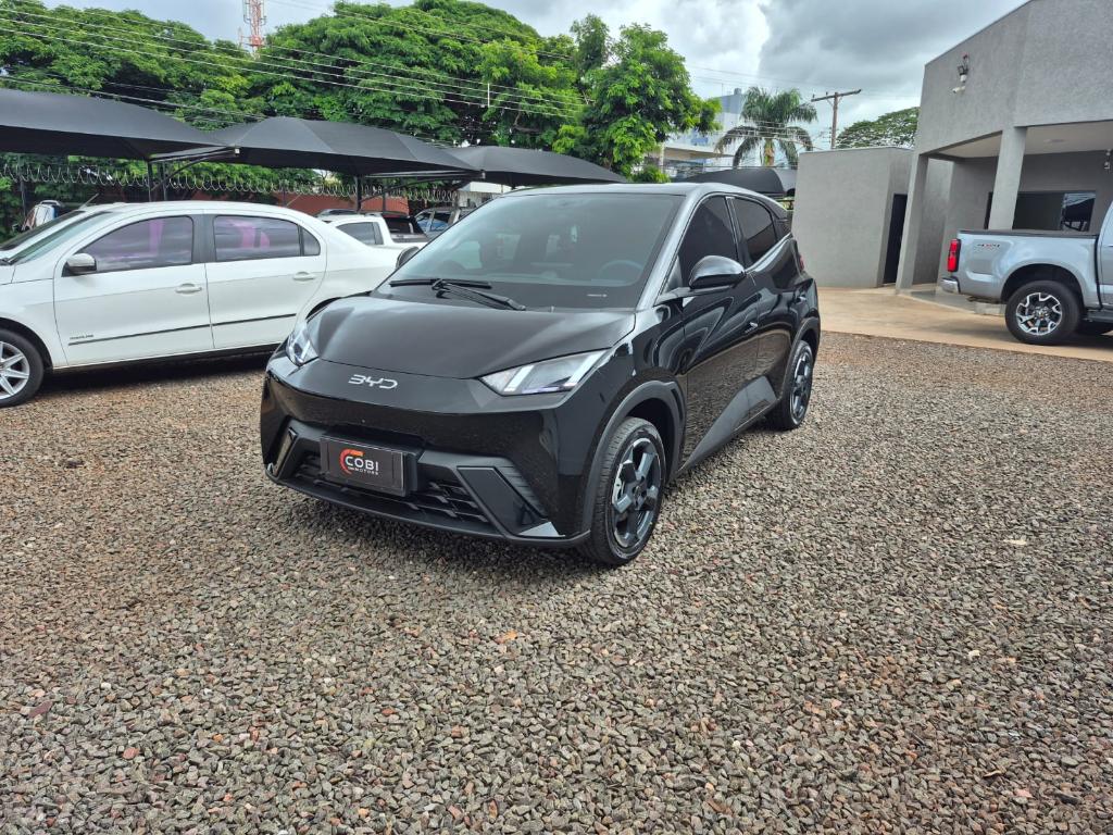BYD Dolphin OTHERS 2025