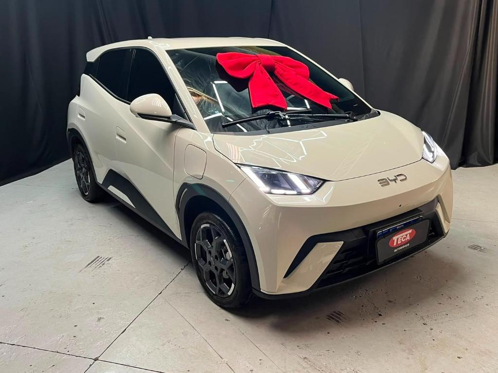 BYD Dolphin 2027