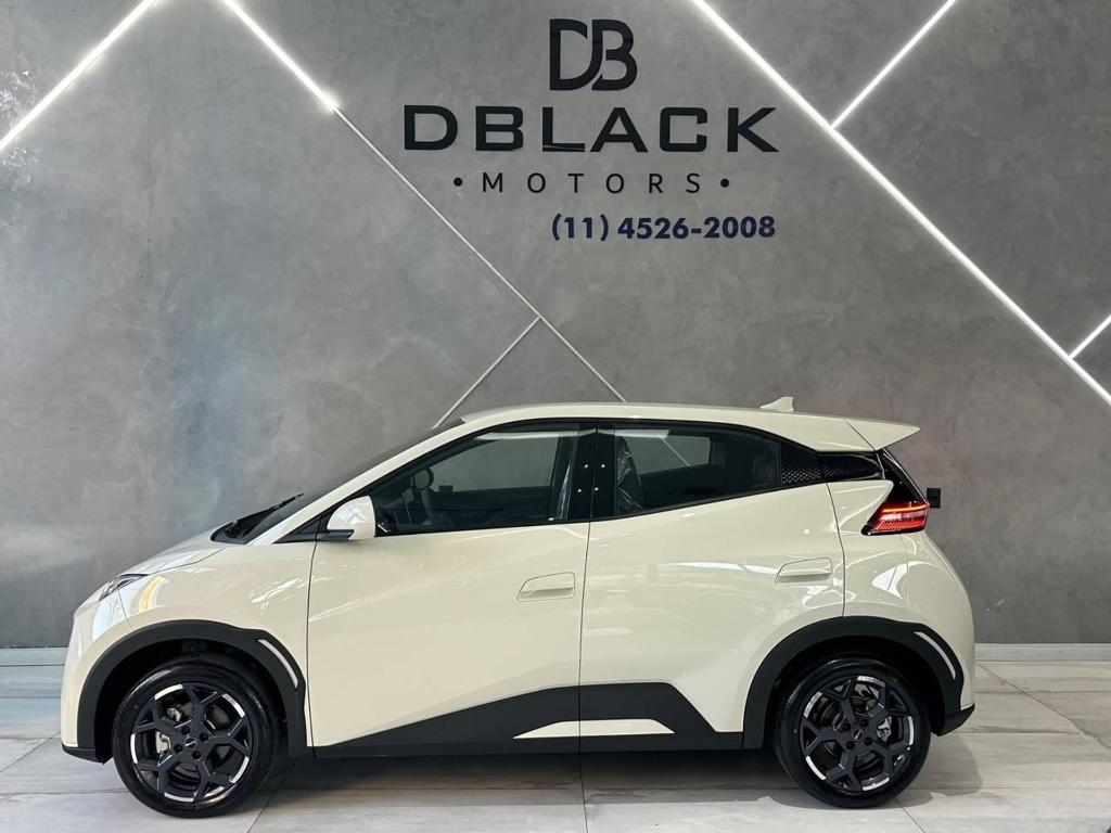 BYD Dolphin 2027