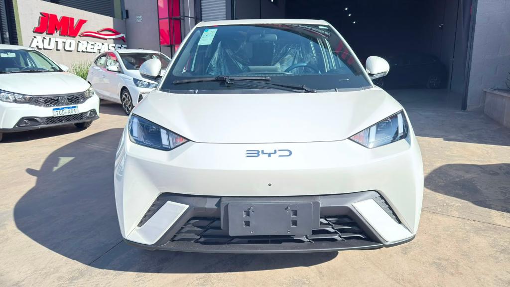 Byd Dolphin