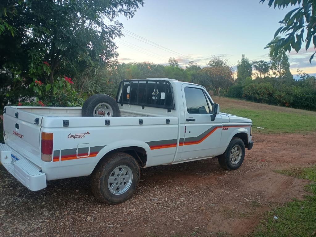 Chevrolet D20 Deluxe 1995
