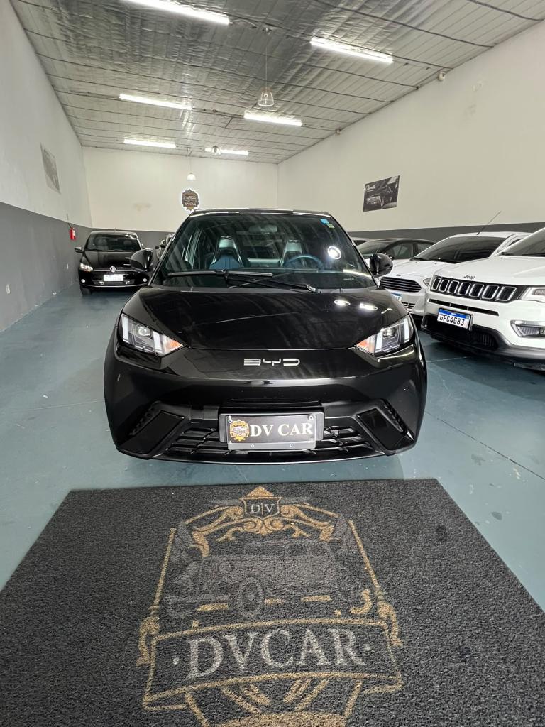 Byd Dolphin