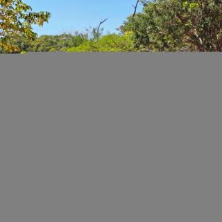 Foto do veículo Chevrolet Prisma 1.0 Spe/4 Eco Joy