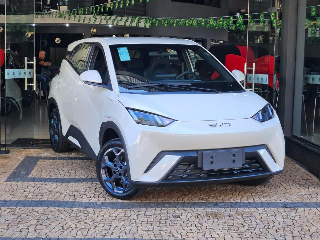 Byd Dolphin
