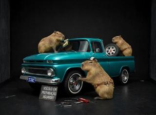 Foto do veículo Renault Clio 1.0 Expression