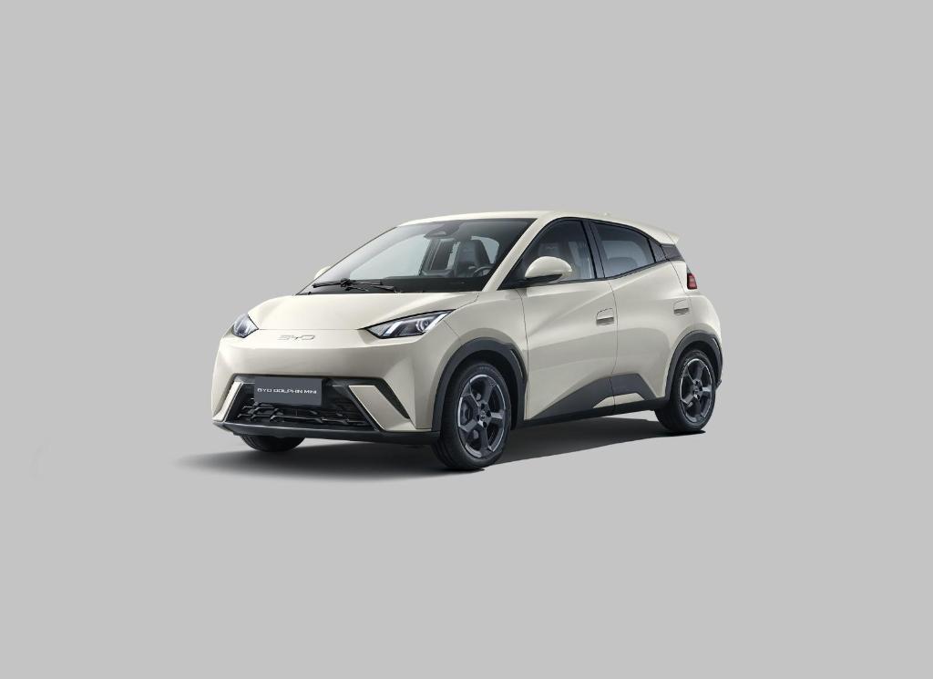 Byd Dolphin