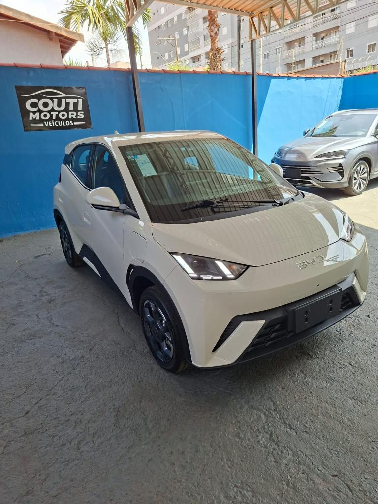 Byd Dolphin