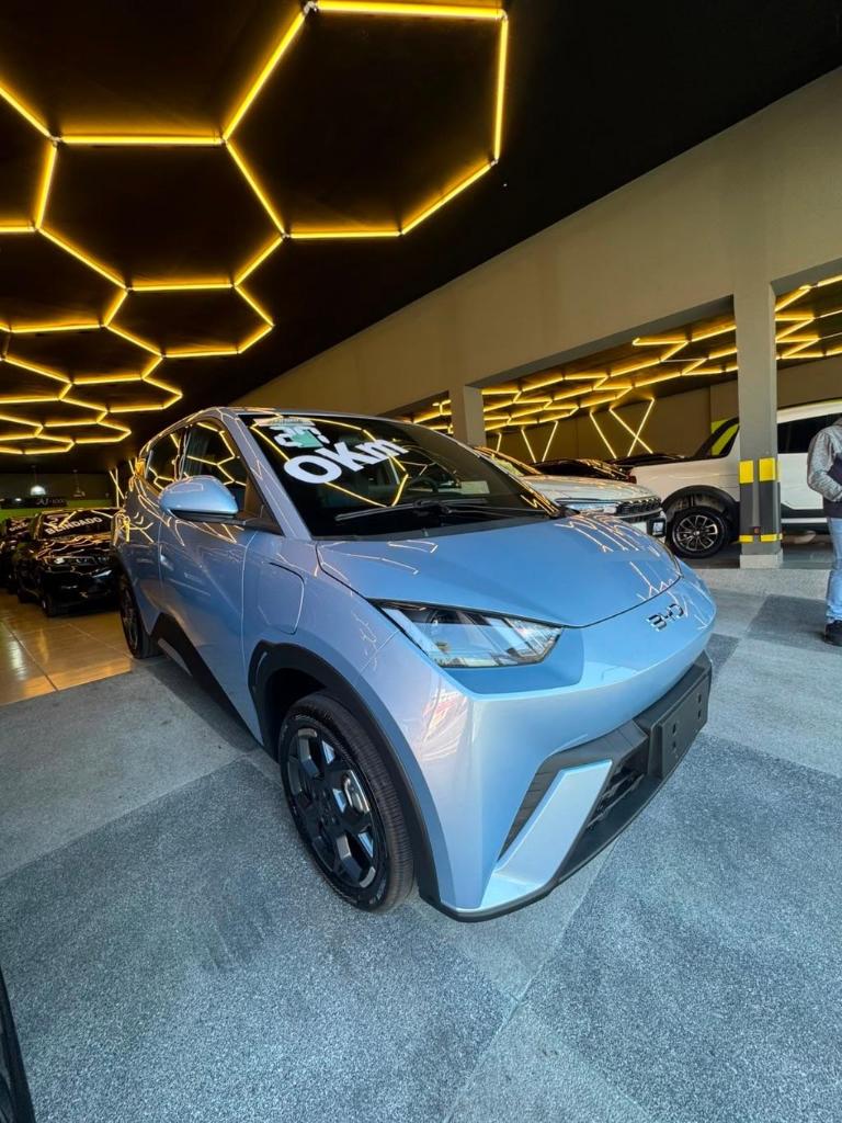 Byd Dolphin