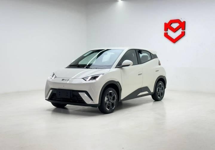BYD Dolphin Mini Bev 38kwh Gs 5l Auto 2027